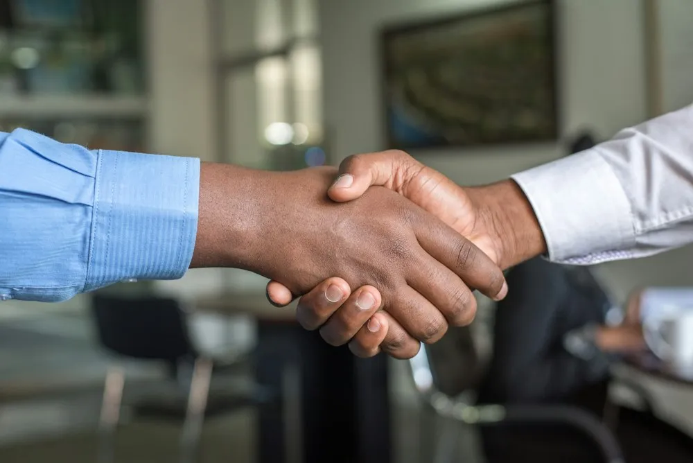 Professionals shaking hands